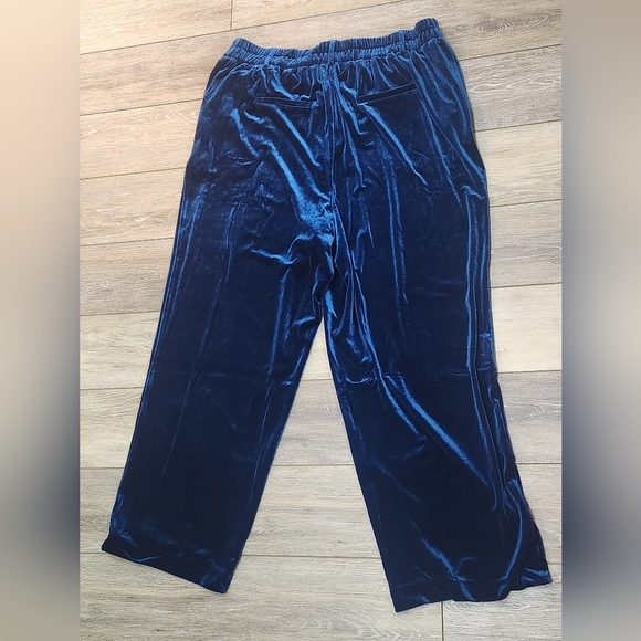 Porter Collective Teal Blue Velvet Wide Leg Trouser Pants Size 1Xlarge - Picture 4 of 6
